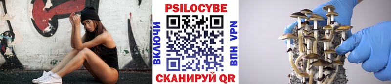 Псилоцибиновые грибы прущие грибы  Заозёрск 